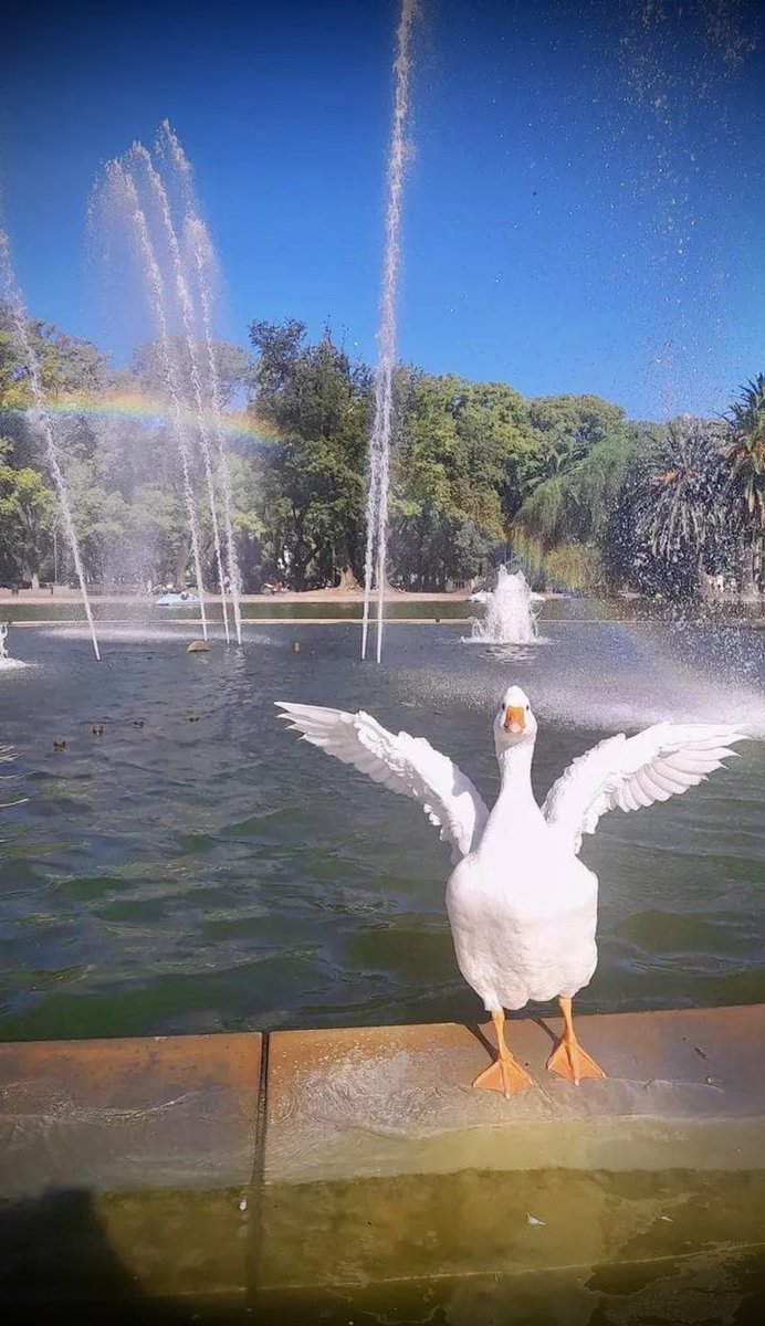 Michael Shindler tweet media