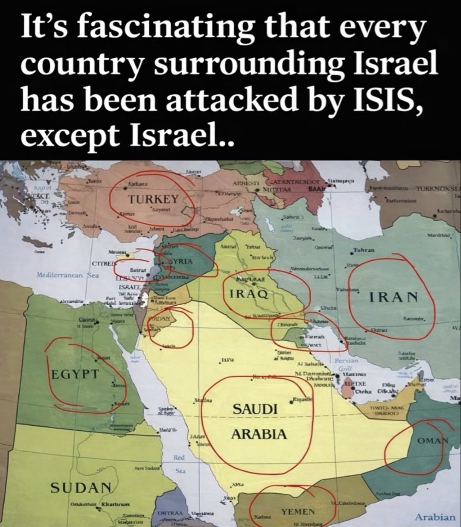 Be11akindofthing tweet media