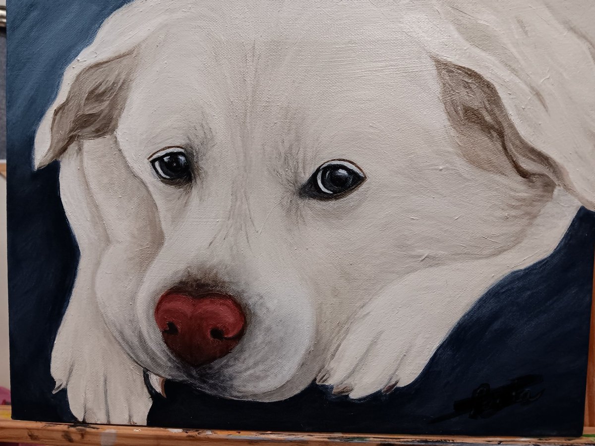 Molly McFrolly tweet media