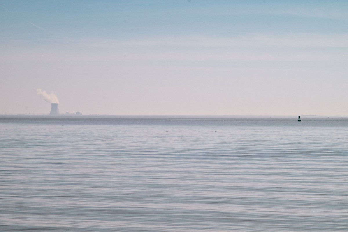 tom gilbert tweet media