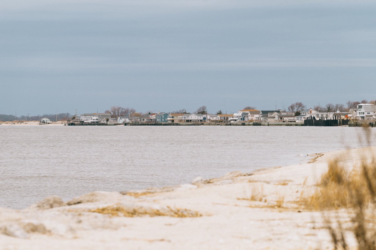 tom gilbert tweet media