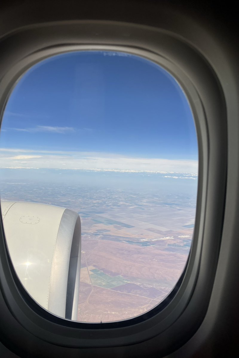 ari✈︎ tweet media