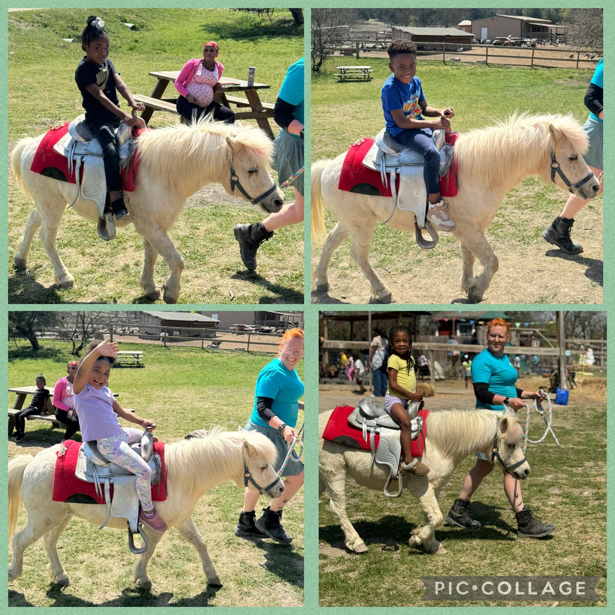 npinilla1's tweet image. #RISD #Prek #FieldTrip to Cathy’s Critters was so much fun! From the 🚌ride to the 4 stations, these scholars &amp;amp; our chaperones connected with animals, used gentle hands &amp;amp; displayed @ForestLnAcademy #WorldClass behavior! I couldn’t have been more proud!🖤 #LoveWhatYouDo