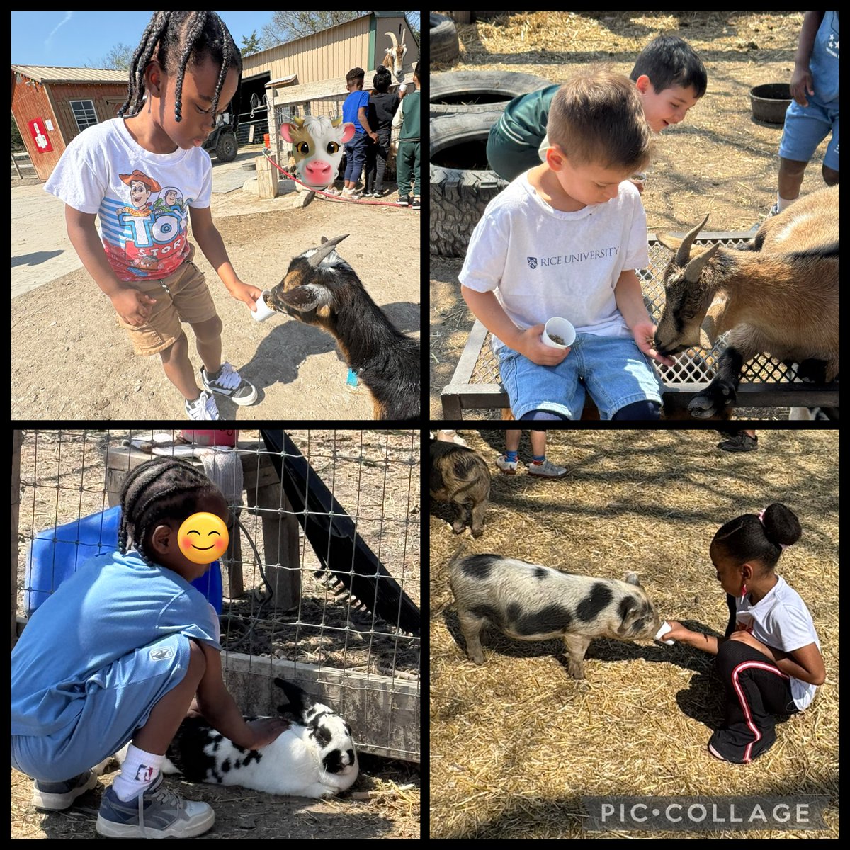 npinilla1's tweet image. #RISD #Prek #FieldTrip to Cathy’s Critters was so much fun! From the 🚌ride to the 4 stations, these scholars &amp;amp; our chaperones connected with animals, used gentle hands &amp;amp; displayed @ForestLnAcademy #WorldClass behavior! I couldn’t have been more proud!🖤 #LoveWhatYouDo