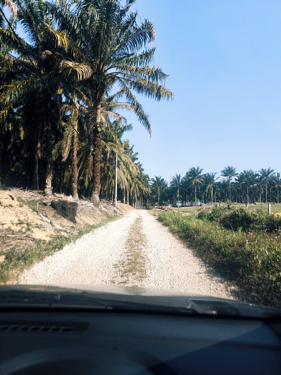 ☀️ RS₿ 🧬 tweet media