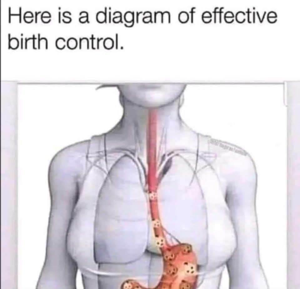 🇺🇲JeremyAIrish🇮🇪™️ tweet media