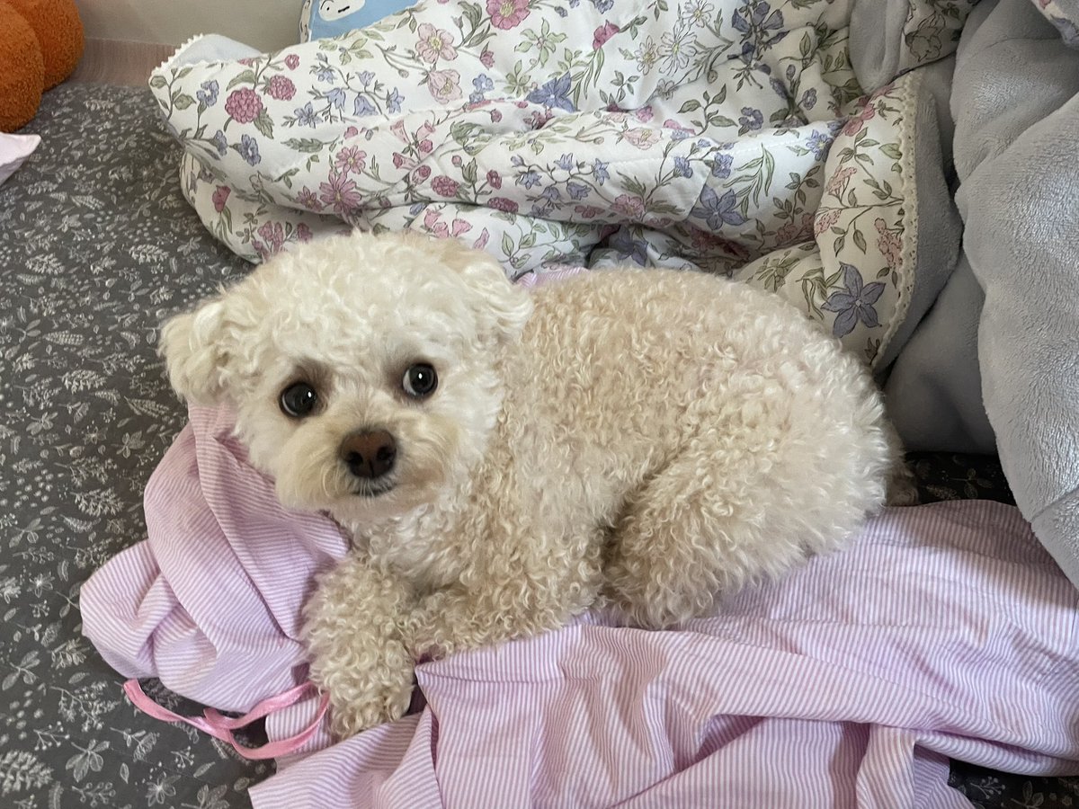 최밥풀 tweet media