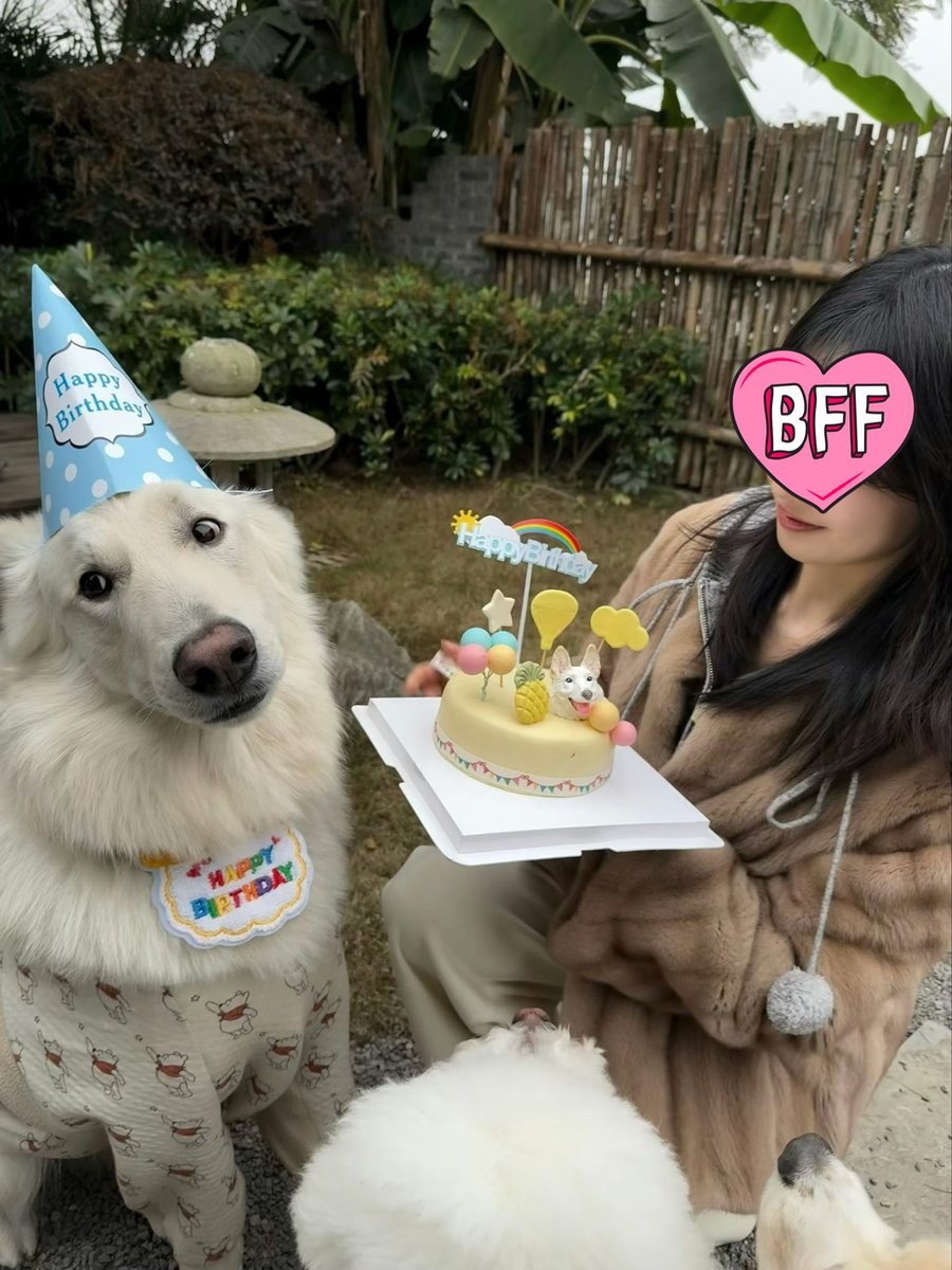 北美搭子 tweet media