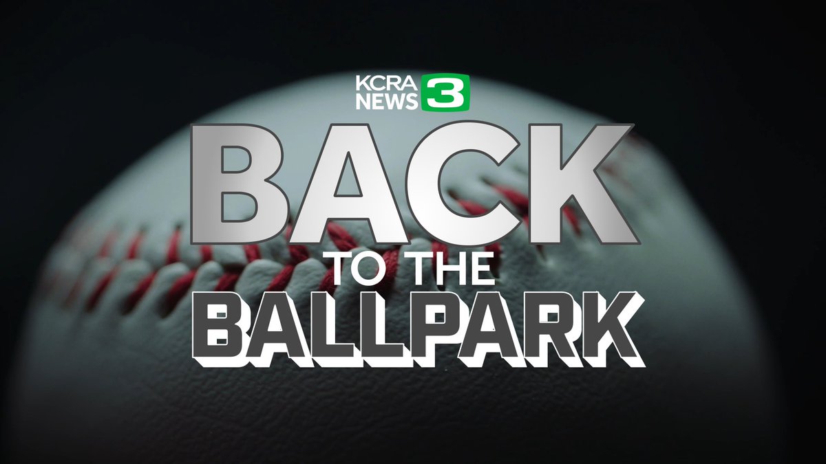 Michelle Dapper tweet media