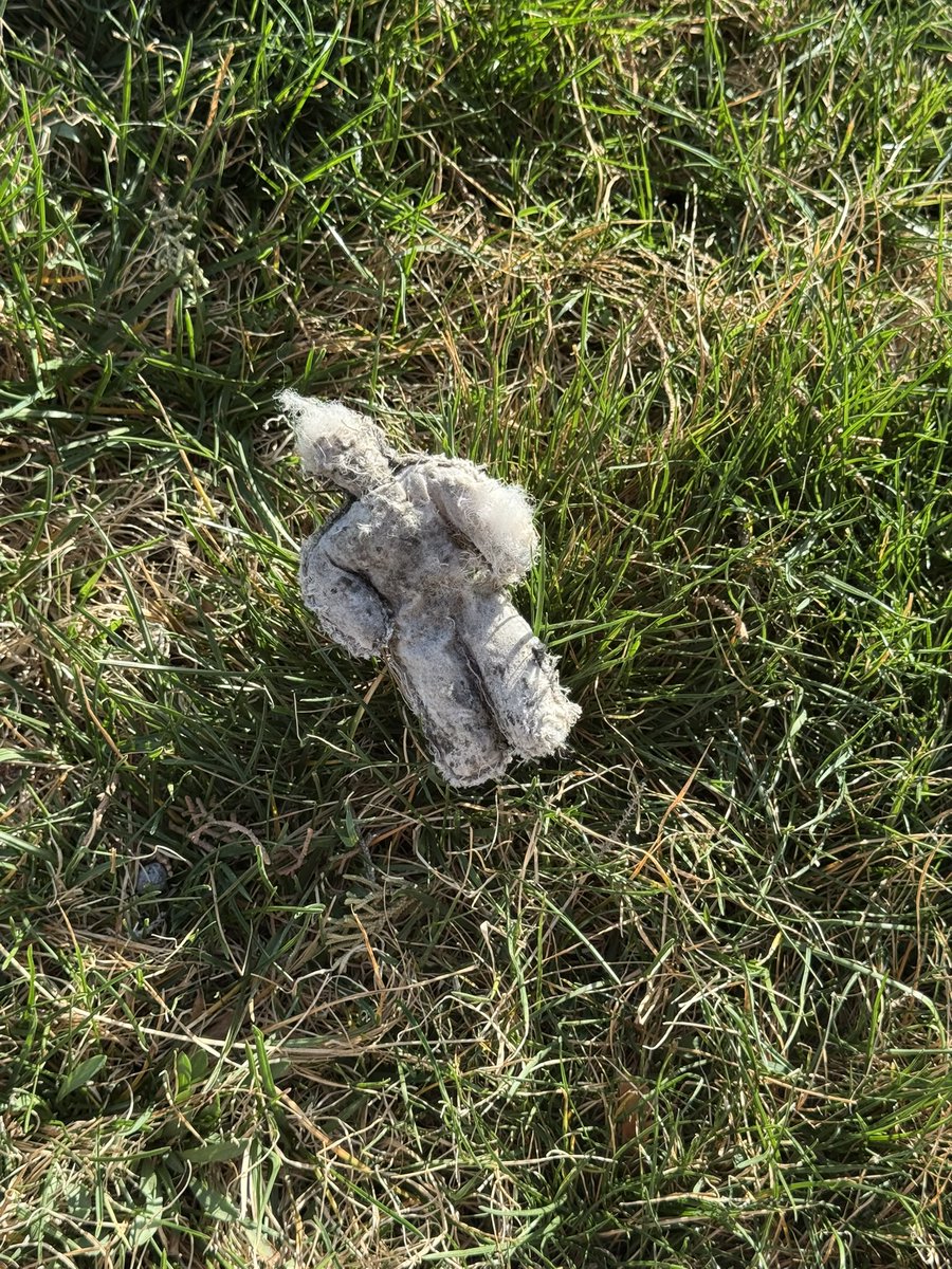 𖦹 m 𖦹 tweet media