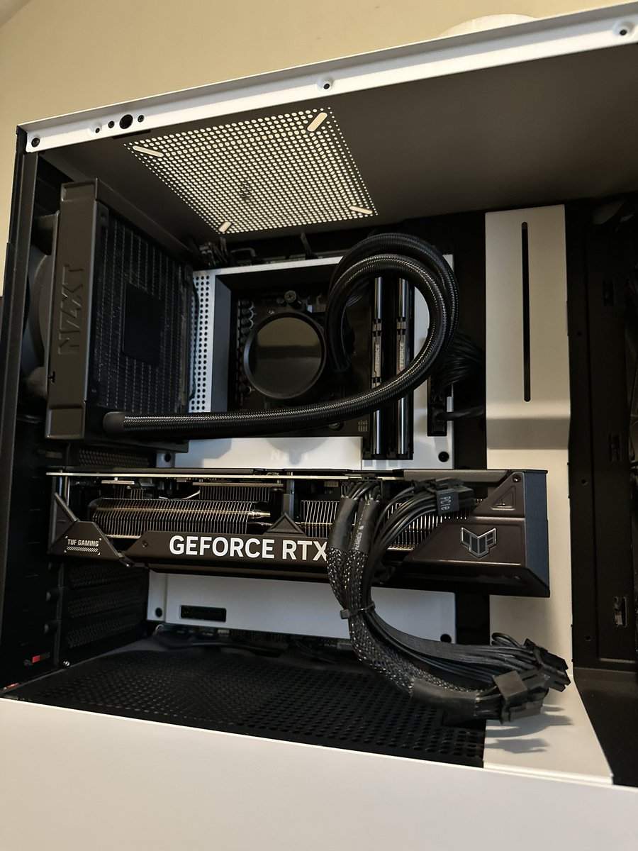 Carlitoes tweet media