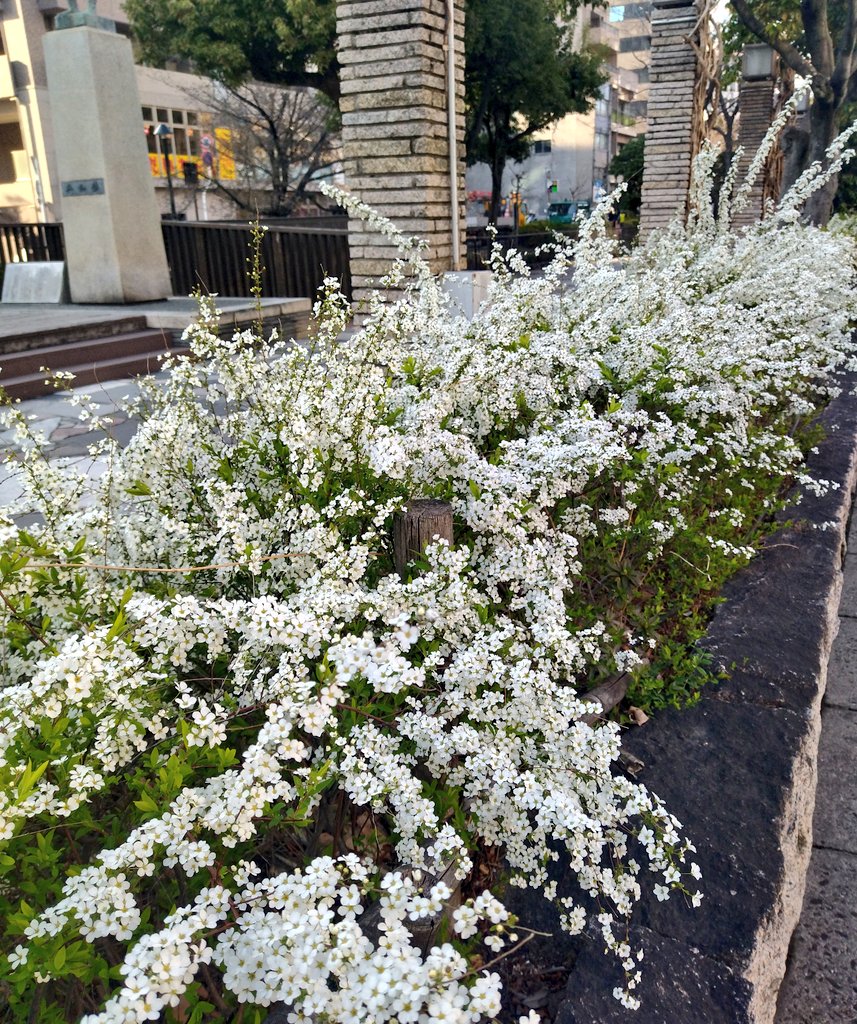 チケットキャビン岡山中央店★お酒★レターパック・ミニレター・他★外貨両替★新幹線🚅🉐格安★🥰 tweet media