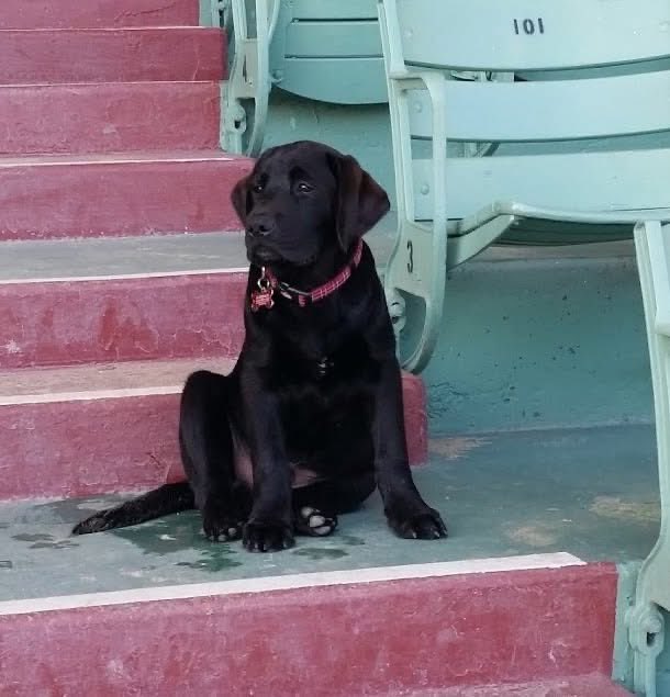 Auerbach Thoroughbreds 🏇 tweet media