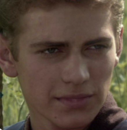 Curtis Yarvin tweet media