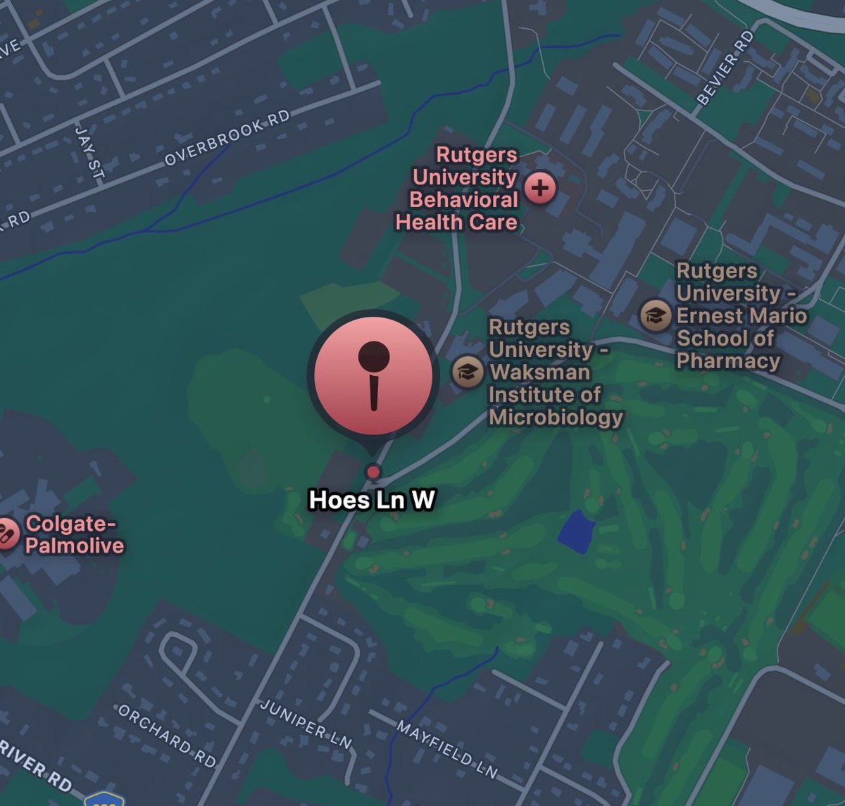 NOT Adam Neumanns Chief of Staff tweet media