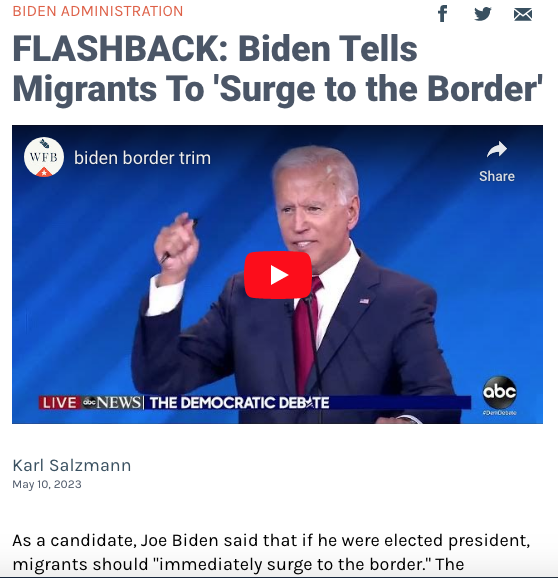 Ellie Harrington tweet media