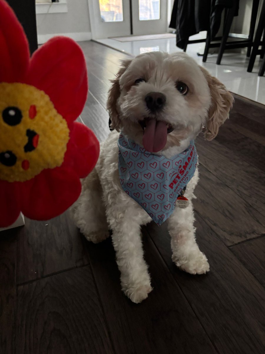 George Mah tweet media