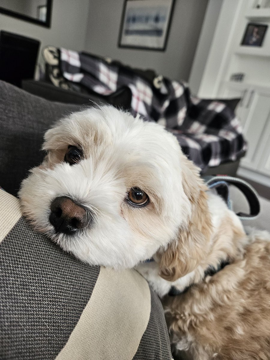 George Mah tweet media