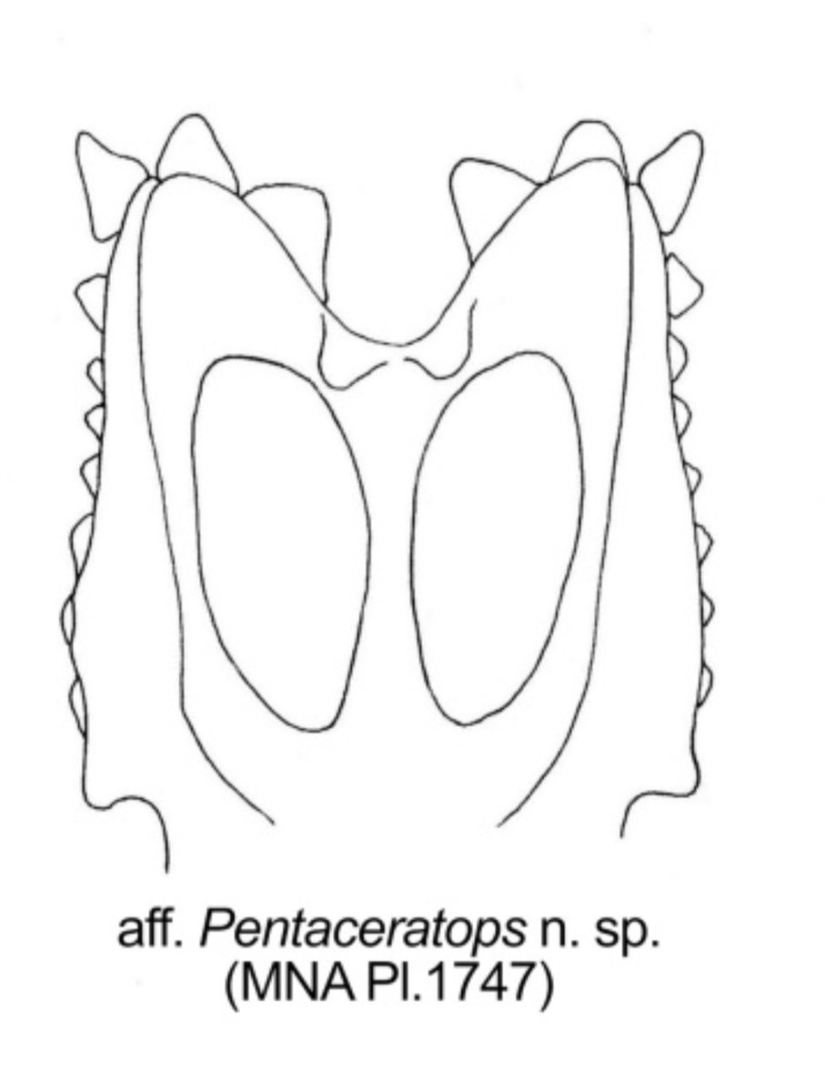 Christopher Collinson tweet media
