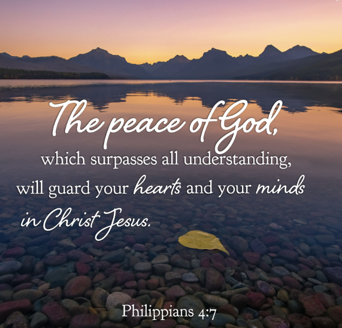 Declaring Your Destiny Intl. tweet media