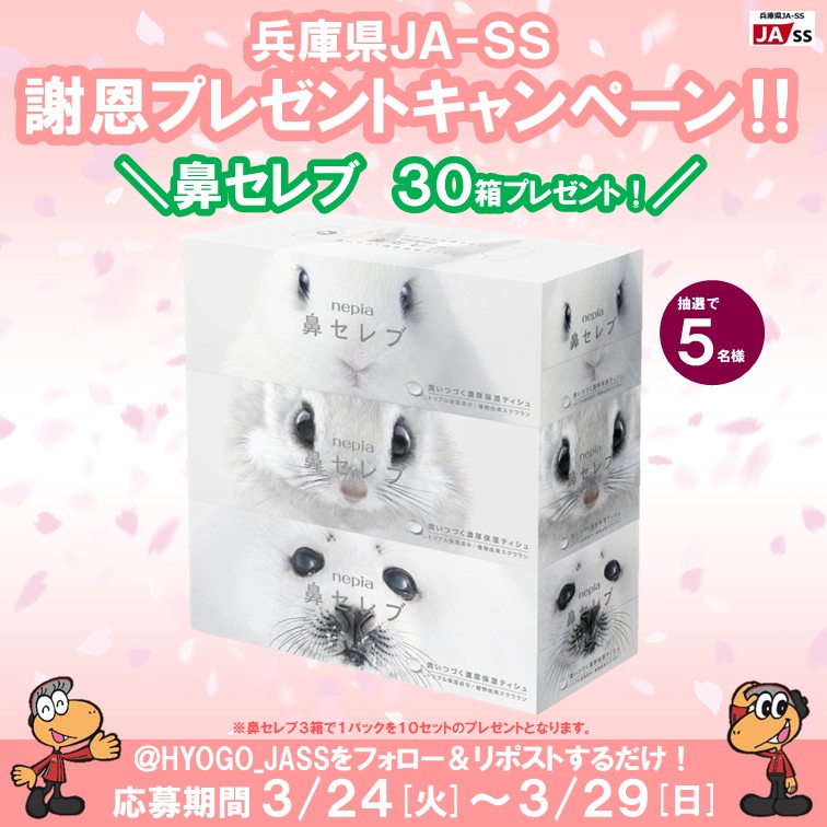 兵庫県JA-SS【公式】 tweet media