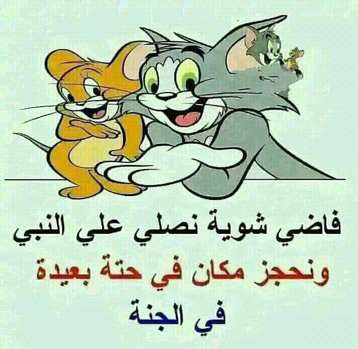 EGYPTIAN tweet media