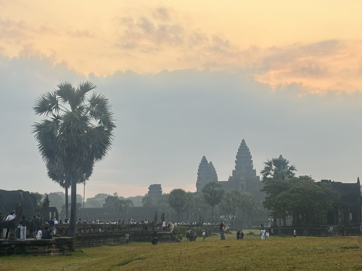 にぼし tweet media