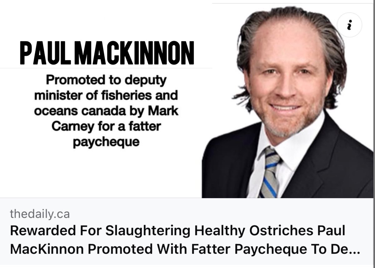 Vote Canada tweet media