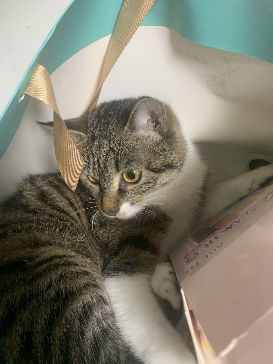 碌碌日记 tweet media