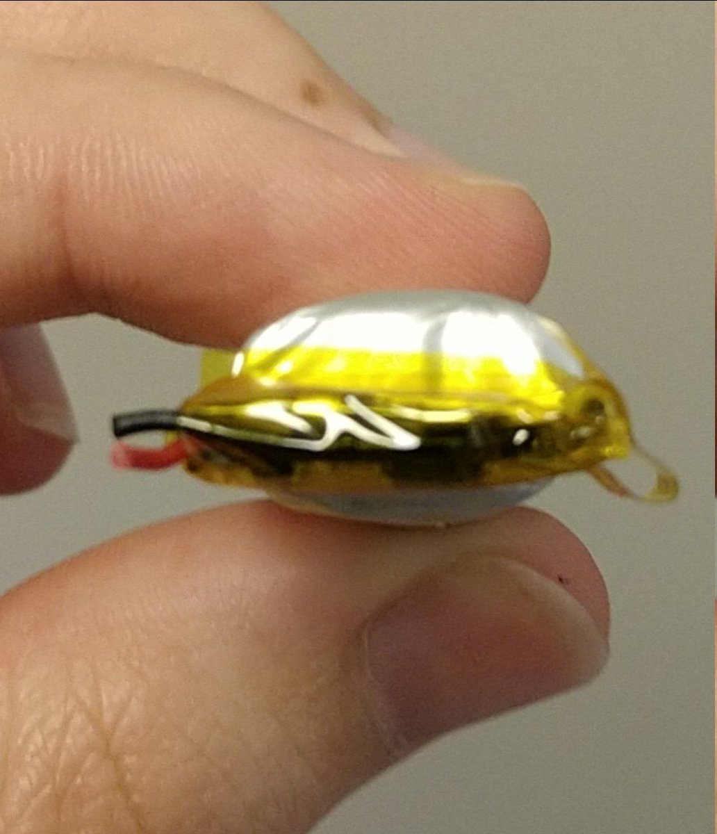 SherbertDrgn tweet media