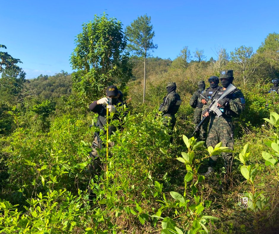 Policía Militar de Honduras tweet media