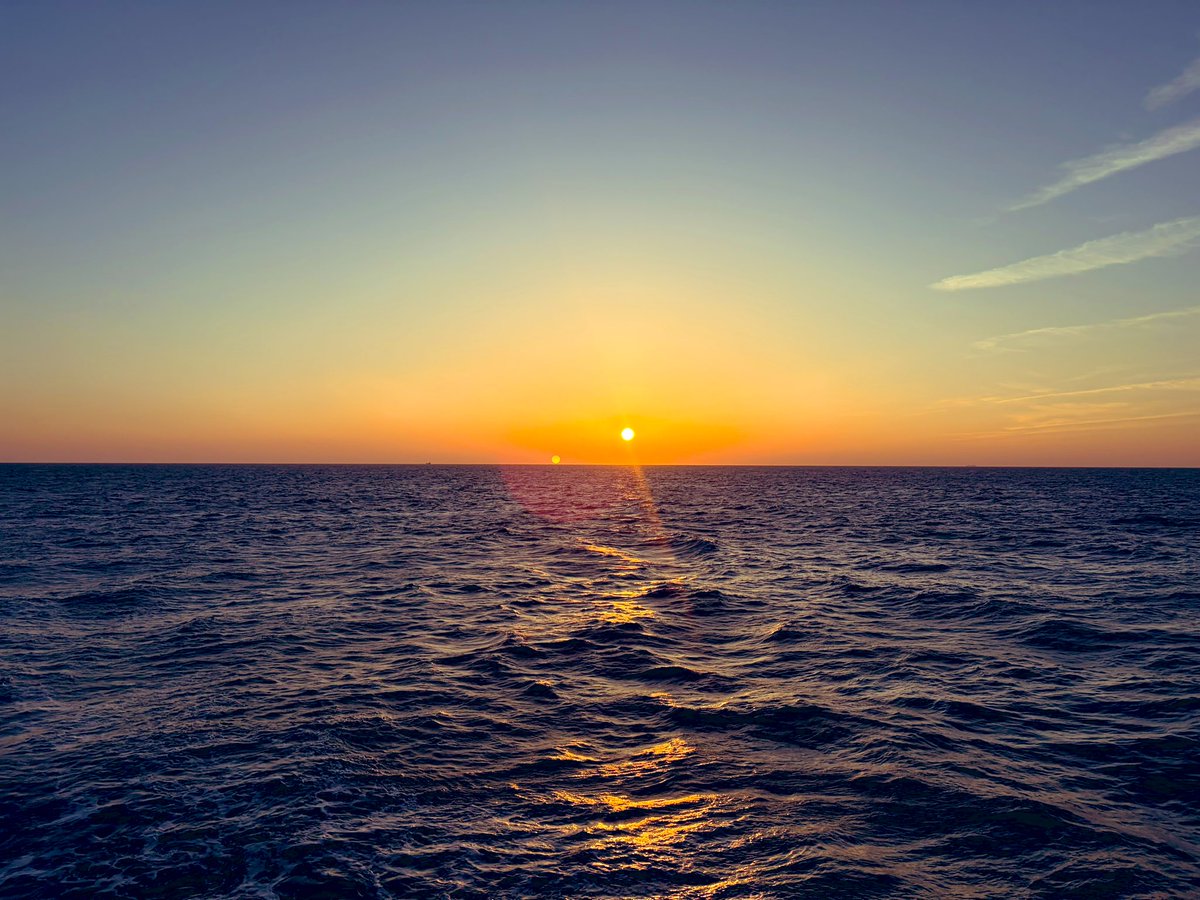 WATCH-annel【わっちゃんねる】 tweet media