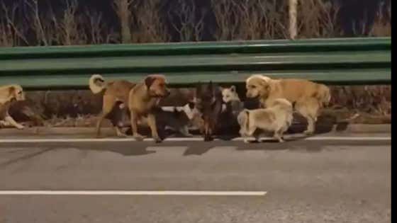 Barstool Sports tweet media