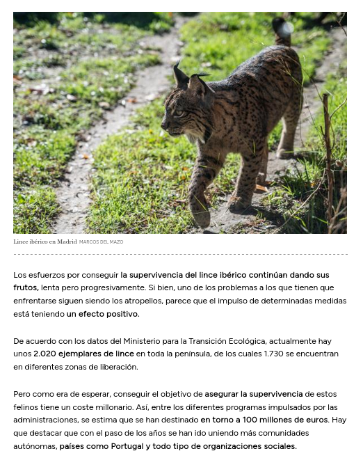 IJODEPU TATRUMP tweet media