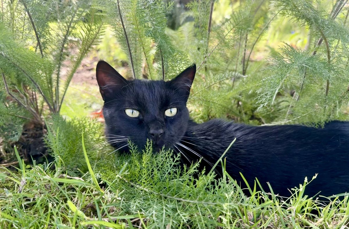 Lorena Hurtado tweet media