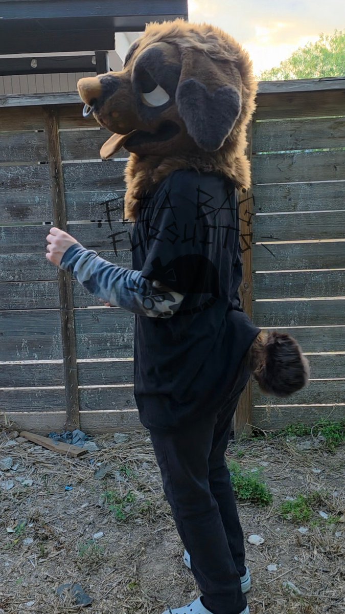 Flea Bag Fursuits tweet media