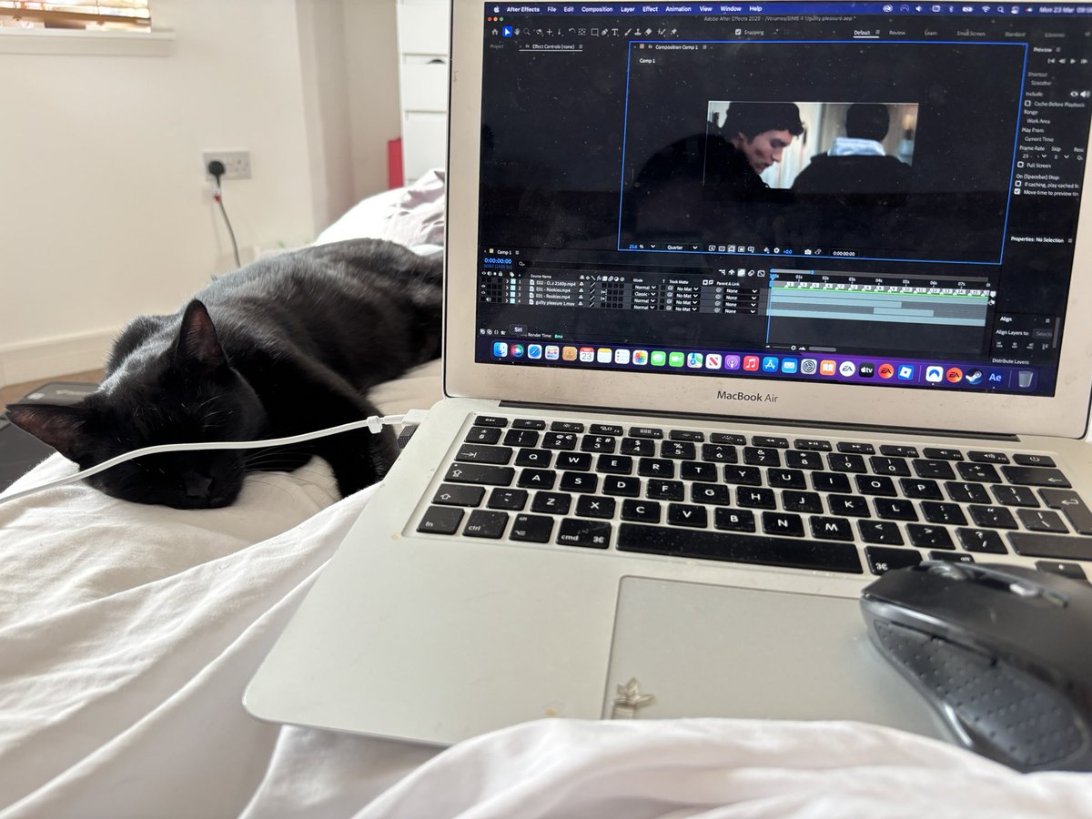 hollanovyuri's tweet image. cat is unfairly asked to edit hollanov and passes out due to the physical demands and horrible conditions endured #sad