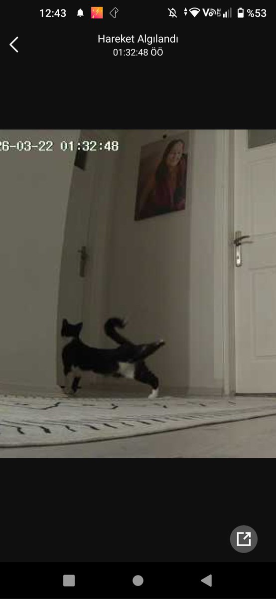 <a href="/lkkedicobanii/">🪷</a>