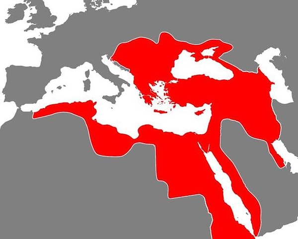 Whatanist tweet media