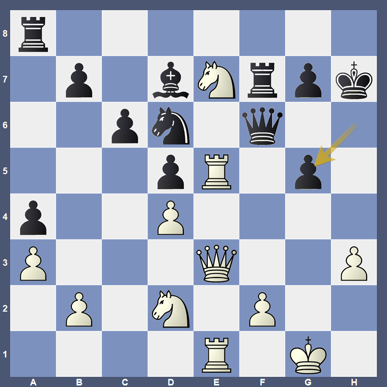 Michael Roiz tweet media