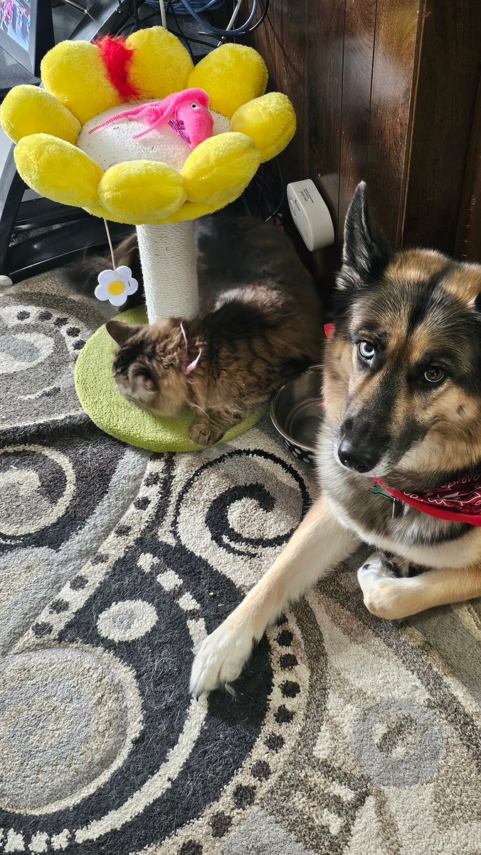 Eunnii🩷🗝 tweet media