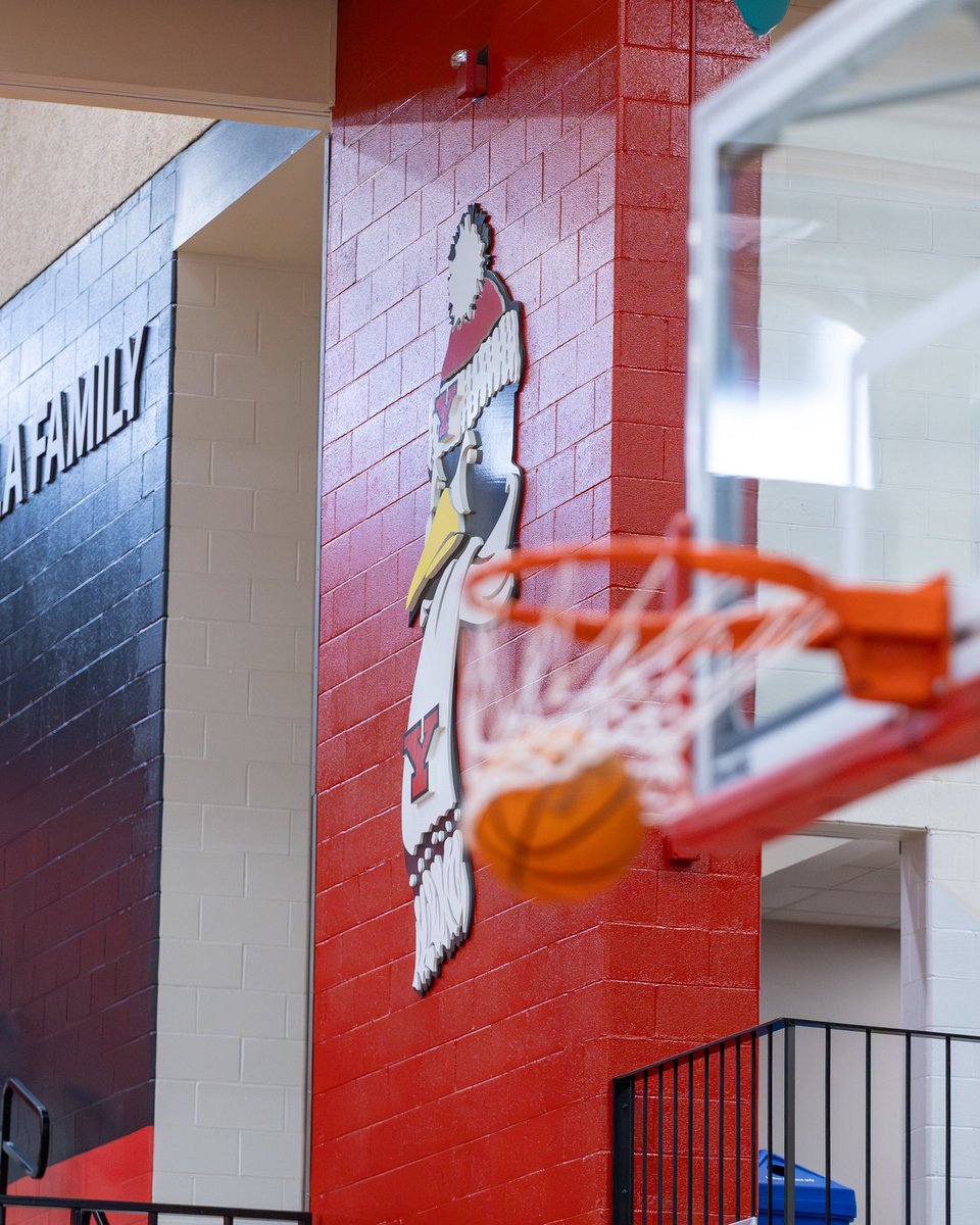 Youngstown State WBB🐧 tweet media