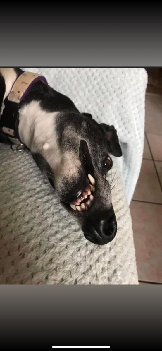 Claire Bines tweet media