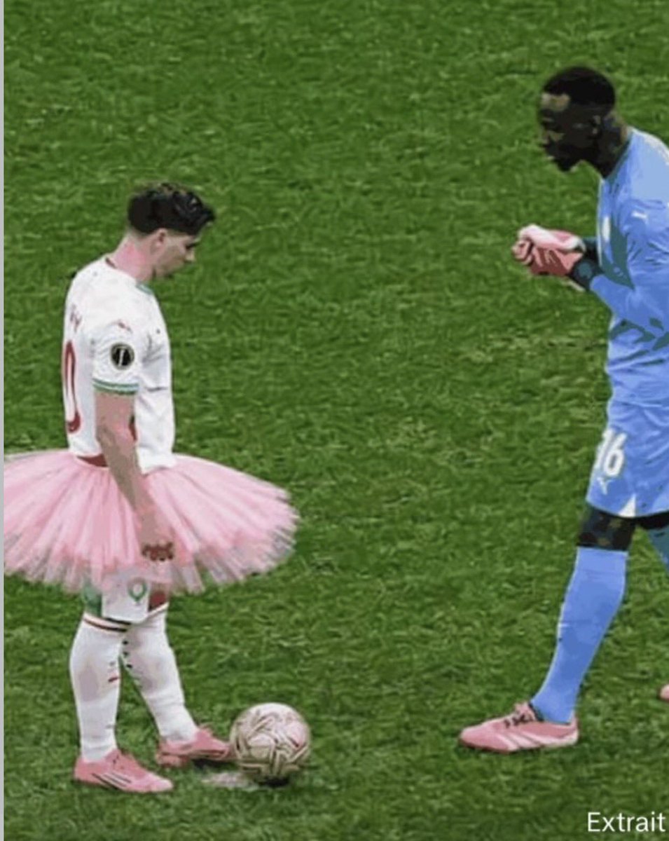 🇸🇳⭐️⭐️🇵🇸Damas tweet media