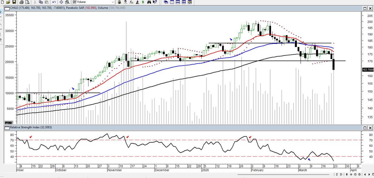 Maragume tweet media