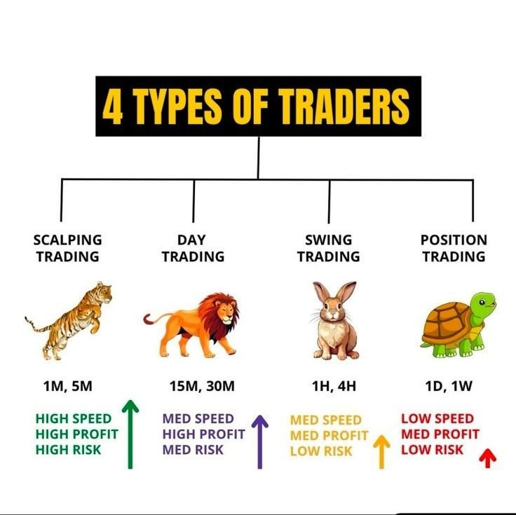 IManghaila's tweet photo. 4 TYPES OF TRADERS.