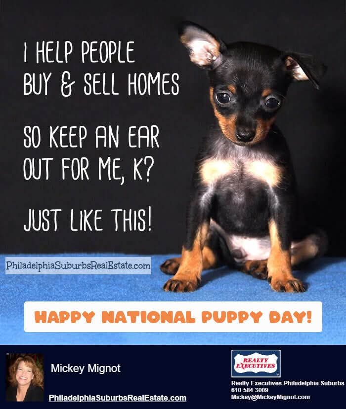 🐶🐕 Happy National Puppy Day! 🐶🐕