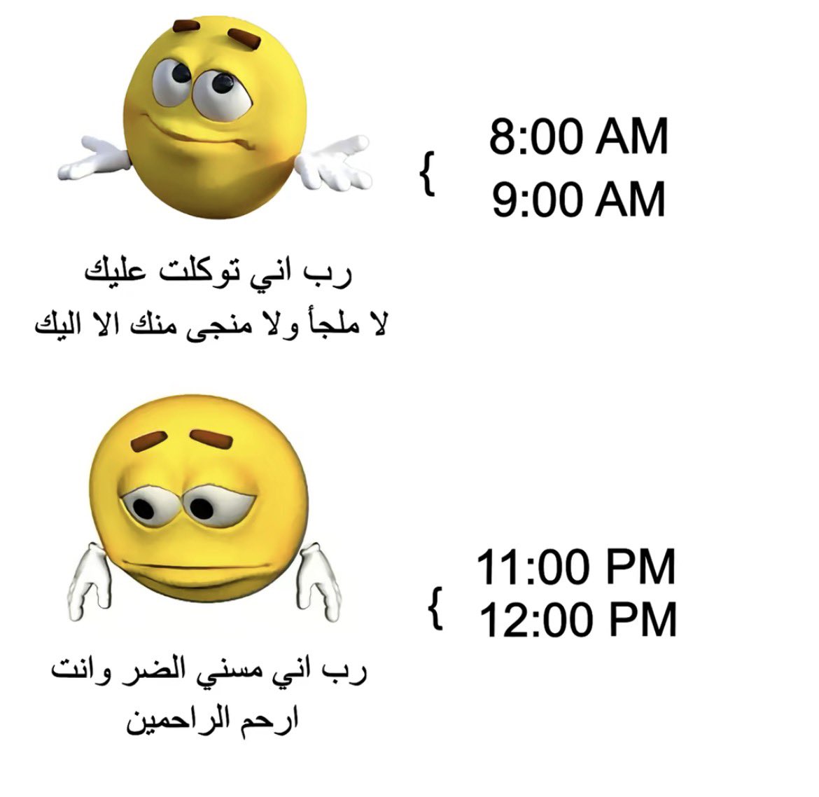 مشمشية tweet media