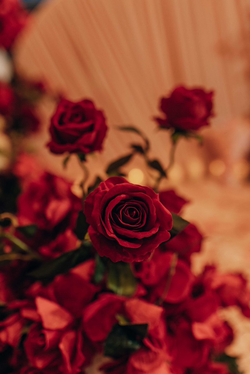 B ọ́ D tweet media