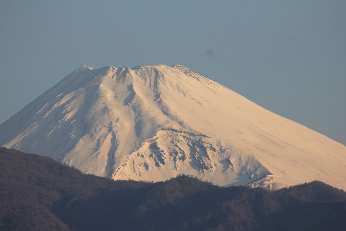 富士半蔵こと橋都彰夫 tweet media